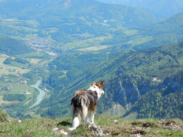 Burgspitz und Brunnbacheck