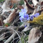 Von Brunnbach zum Hirschkogelsattel