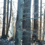 Von Brunnbach zum Hirschkogelsattel