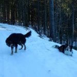 Von Brunnbach zum Hirschkogelsattel