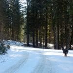 Von Brunnbach zum Hirschkogelsattel