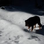 Von Brunnbach zum Hirschkogelsattel