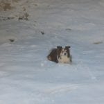 Von Brunnbach zum Hirschkogelsattel