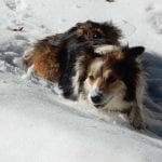 Von Brunnbach zum Hirschkogelsattel