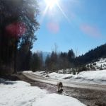 Vom Hirschkogelsattel zur Anlaufalm