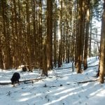 Vom Hochkogel nach Brunnbach
