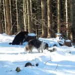 Vom Hochkogel nach Brunnbach