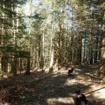 Bei der Schosser Hütte