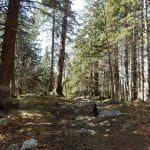 Bei der Schosser Hütte