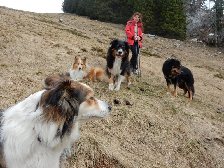 Zeit genug für den Trämpl
