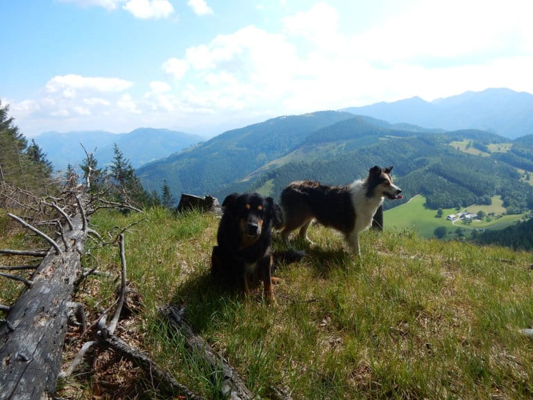 Hiebberg und Halsberg