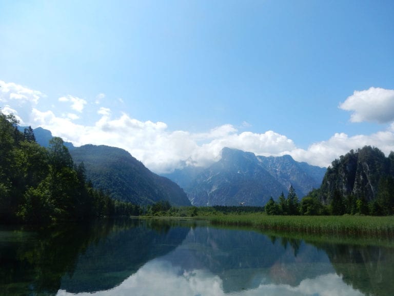 Rund um den Almsee