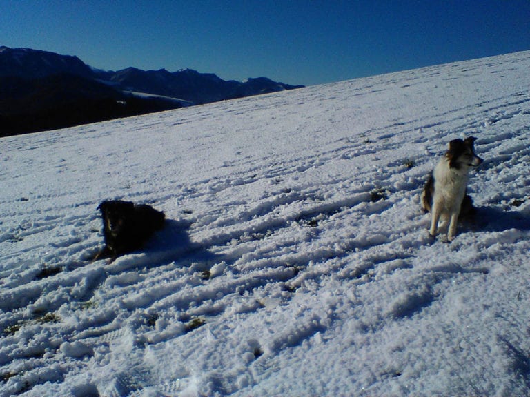 Am 31.12. zum Willeitenberg