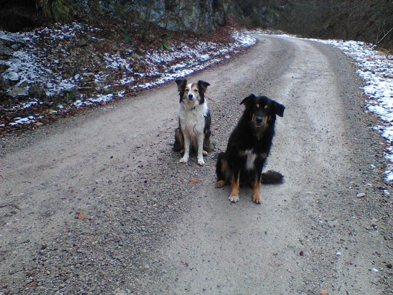 Buchensteig und Wilder Graben