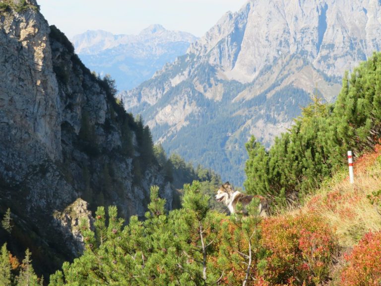 3 Gipfel rund um Radmer (puuh!)