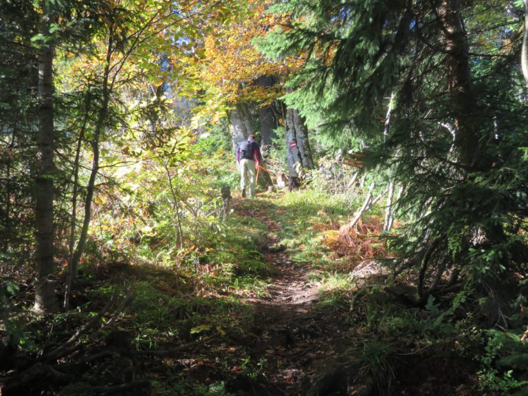 Über den Luchsboden zum Trämpl