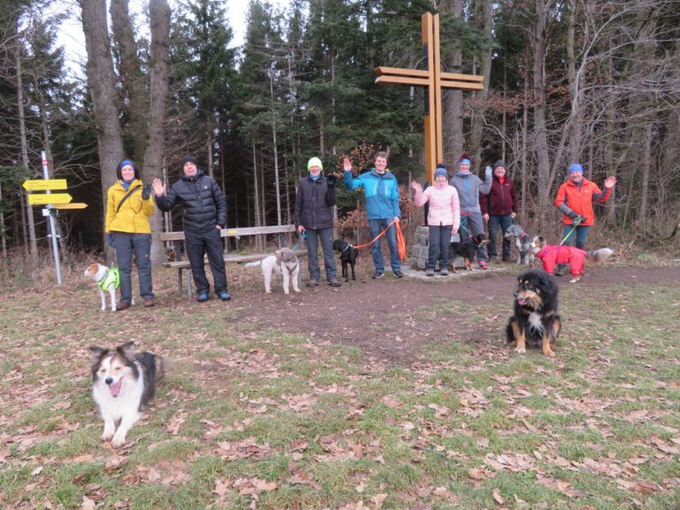 Der Stocker Kogel: Weistracher Ausblicke
