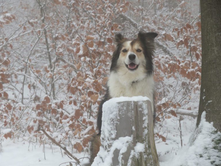 Auf den Damberg und eine Runde herum