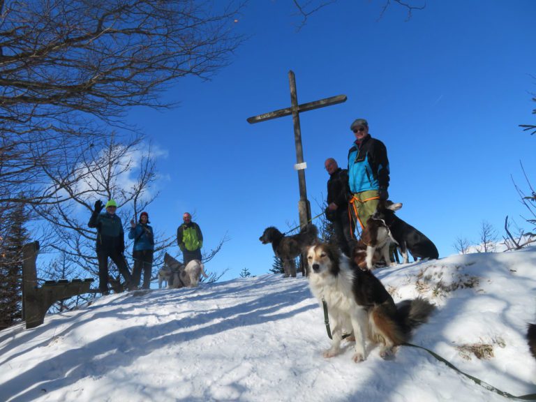 Sonne & Schnee auf der Hohen Dirn