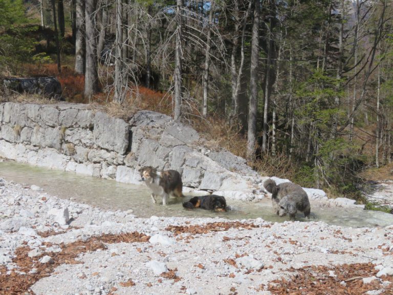 Bernerau – Ödseen – Herrentisch