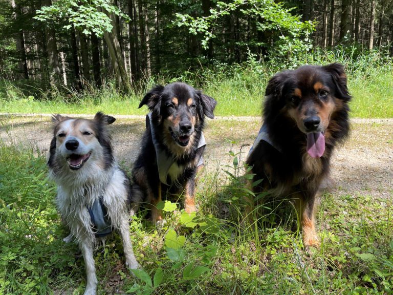 Zu Besuch bei der Michi und mein‘ Papa