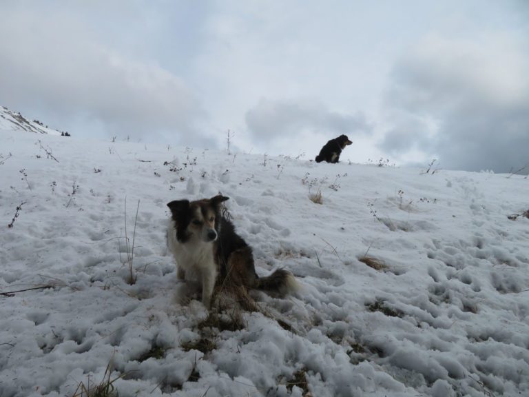 Großes Maiereck: kurz davor …