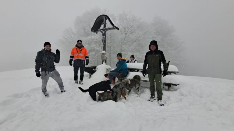 Wirklich Winter am Schwarzberg