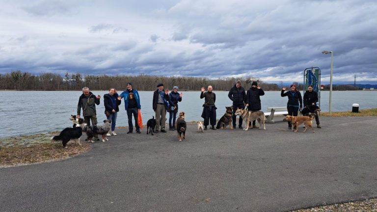 Frühlingsvorschau in Wallsee