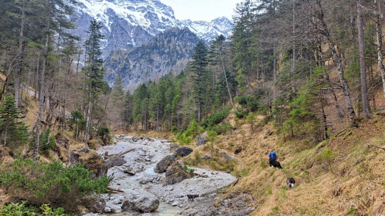 Wege und Bäche bei Steyrling