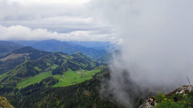 Lindaumauer (mit ein bisserl Regen)