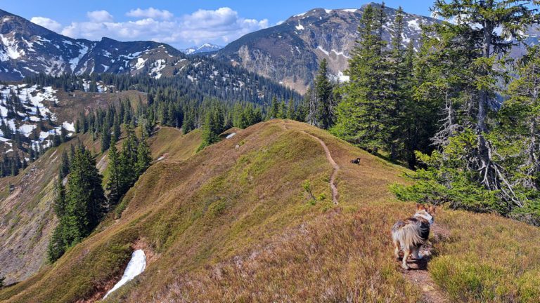 Ein paar Almen und das Gescheidegg