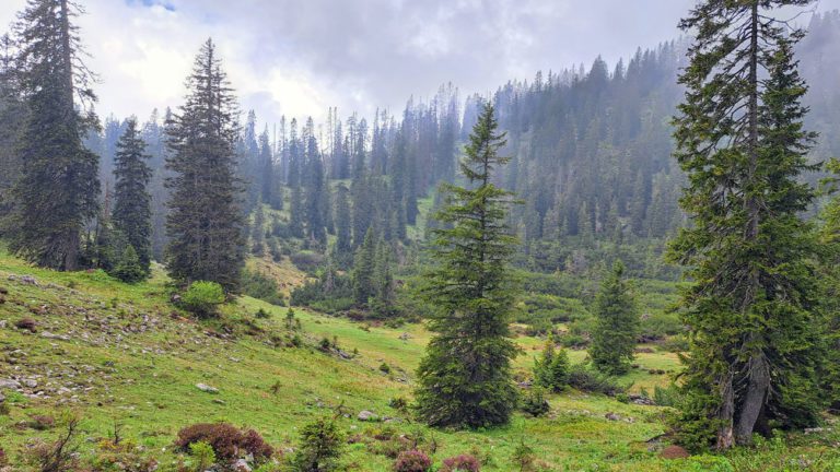 Neue Wege am Steyreck