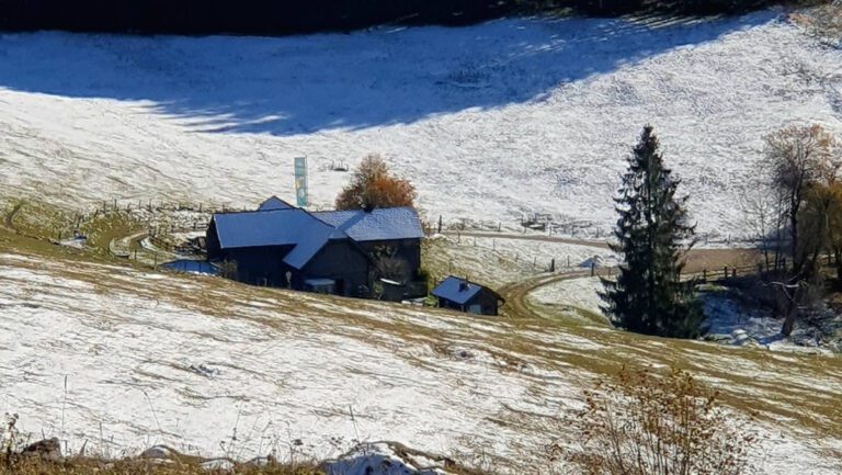 Am Winter schnuppern auf der Anlaufalm