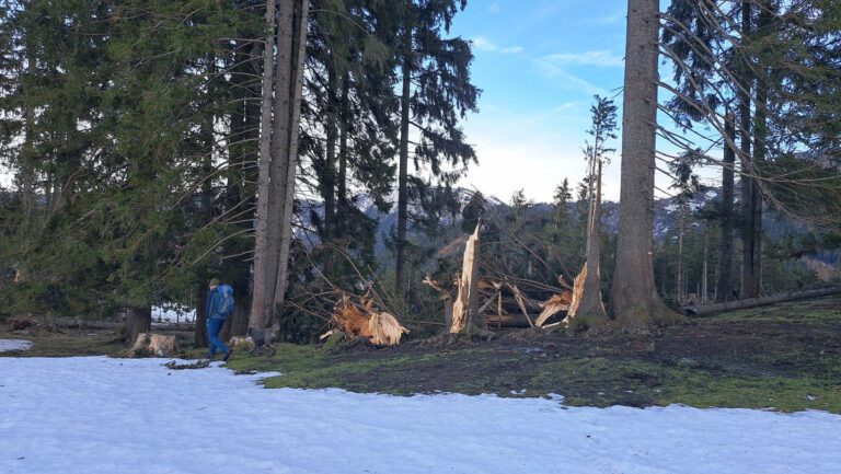 Hauptsache raus: dann die Anlaufalm