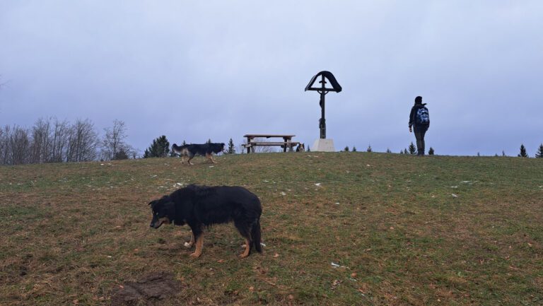 Start ins neue Jahr, gleich ums Eck