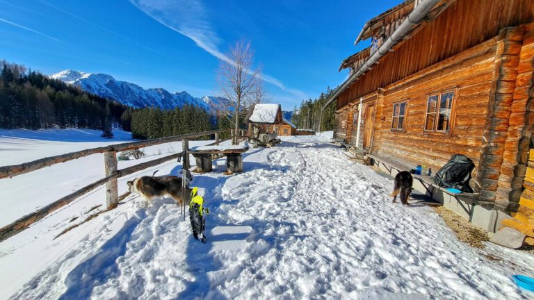 Sonnenbad auf der Schaumbergalm