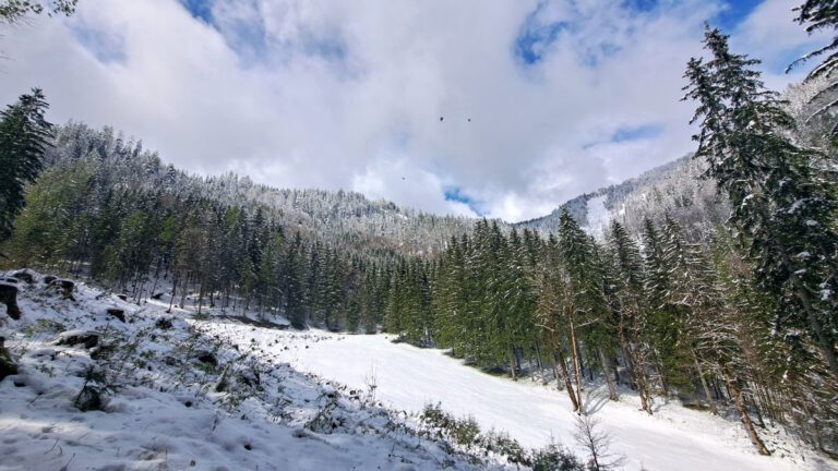 Spitzenbachklamm mit Schnee