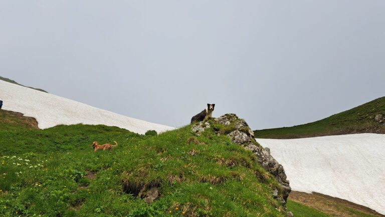 Stadelfeldschneid im Gesäuse