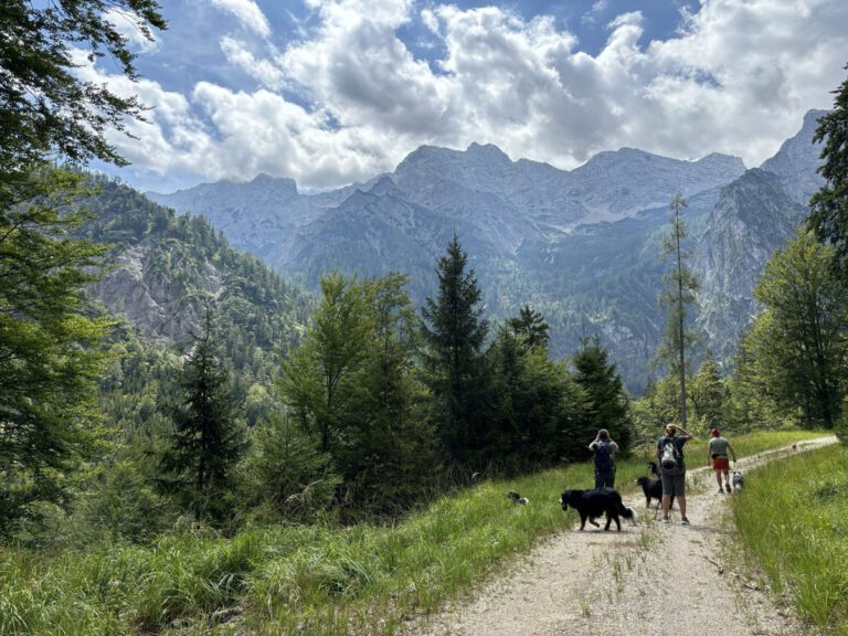 Bachwandern in Steyrling