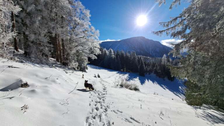 Winter auf den Almen
