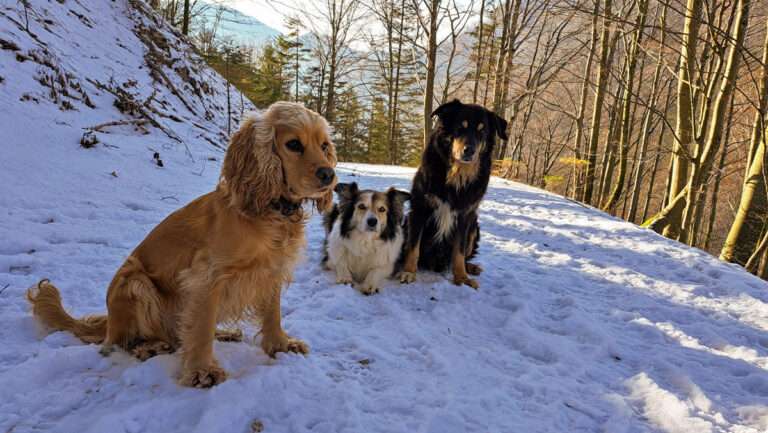 Tal des Holzes, verkehrt herum