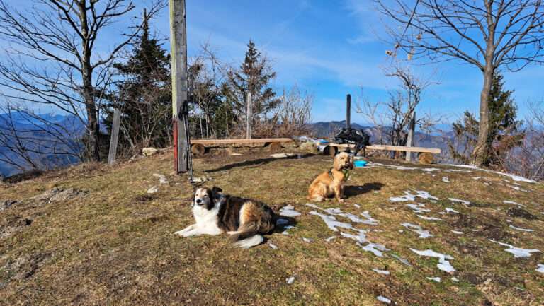 Der sonnige Gamsstein