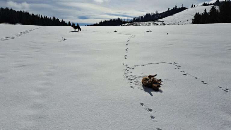 Deshalb heisst er ja „Schneeberg“
