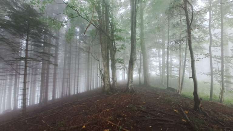 Lindaumauer: Frühherbst-Wetter