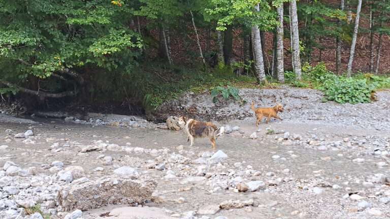 Kleine Steyrling-Runde