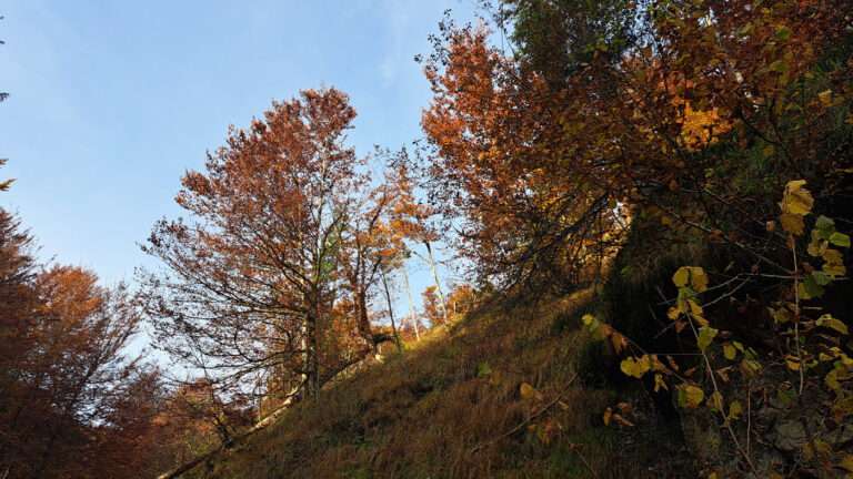 Weissenbach, Herbst 2025