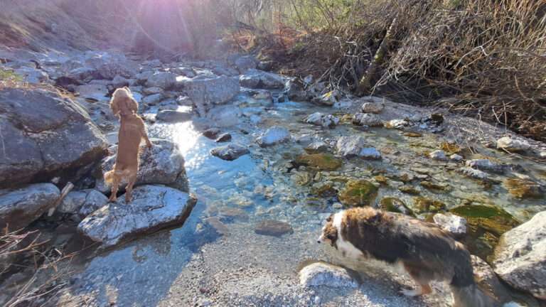 Rund um die Krumme Steyrling