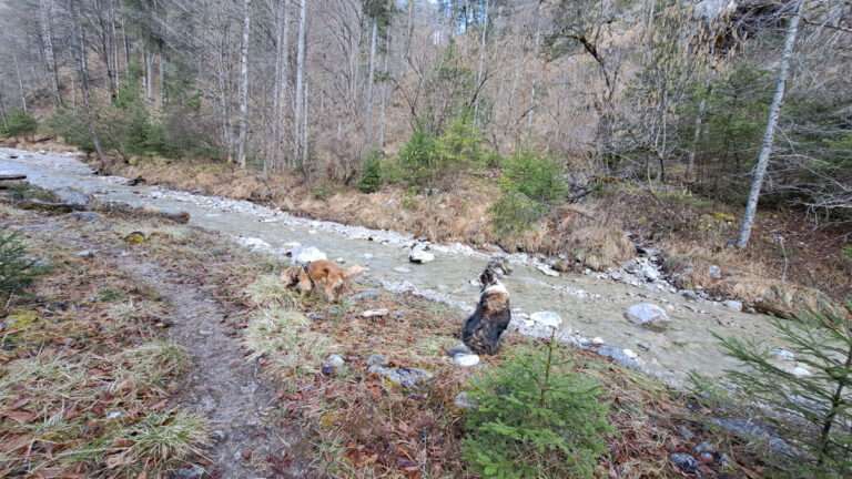 Eine Fliegengraben-Runde