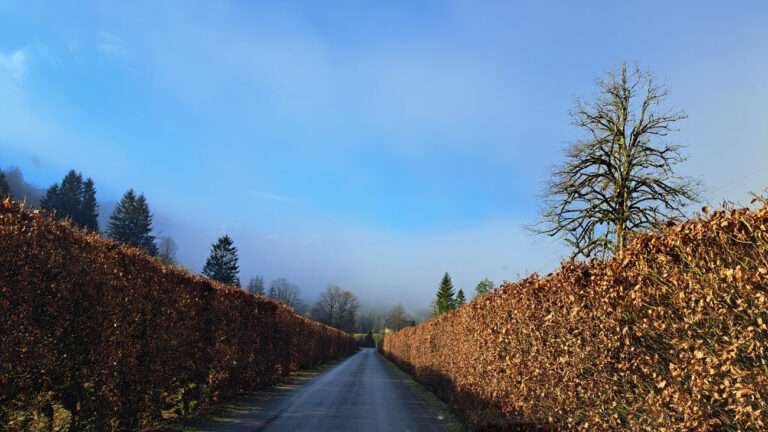 Viel Wasser in Steyrling