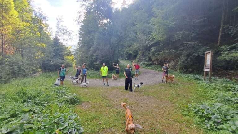 Hundeschule-Wanderung Weissenbach
